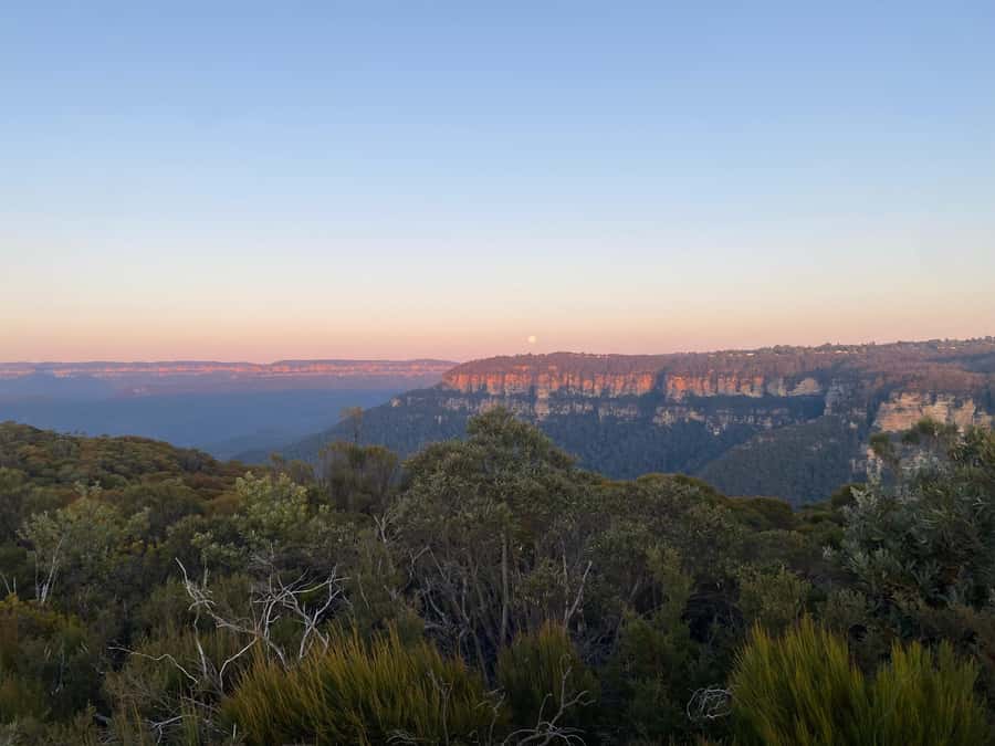 #1 Blue Mountains Tour Scenic World Waterfalls Wildlife Park - Scenic World: All Three Rides and the Steepest Railway Moment