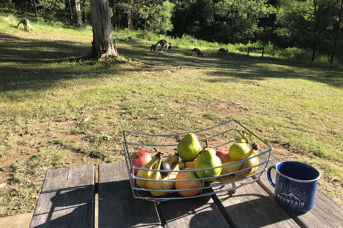 #1 Private Blue Mountains Tour by authentic story telling locals - Breakfast, lunch, and keeping the day from turning into a hunt
