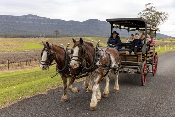 3- Hour Wine and Harvest the Hunter Horse Tour in Pokolbin - Key things to know before you go