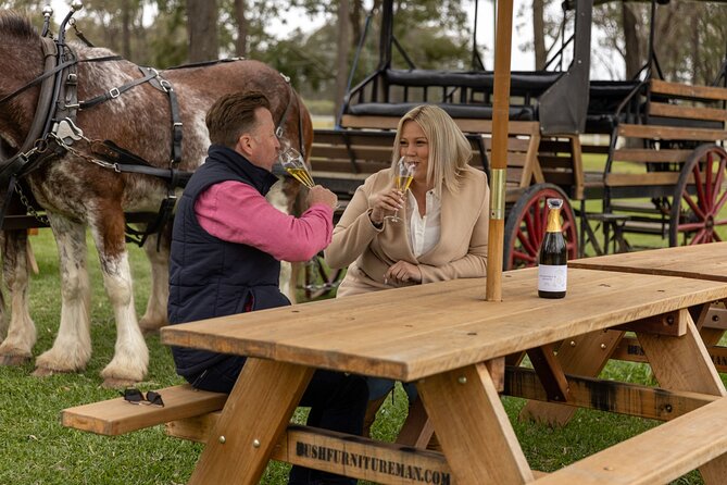 3- Hour Wine and Harvest the Hunter Horse Tour in Pokolbin - Why a horse-and-wine tour feels different in the Hunter Valley