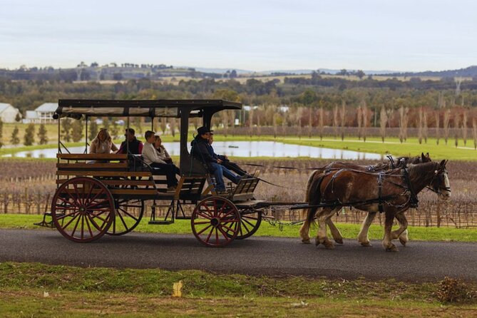 3- Hour Wine and Harvest the Hunter Horse Tour in Pokolbin - Who should book this tour, and who should think twice