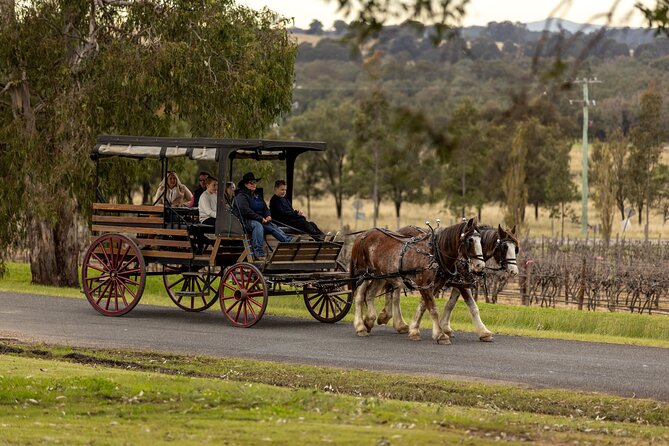 3- Hour Wine and Harvest the Hunter Horse Tour in Pokolbin - Getting started: meeting at 426 McDonalds Rd and settling into the day