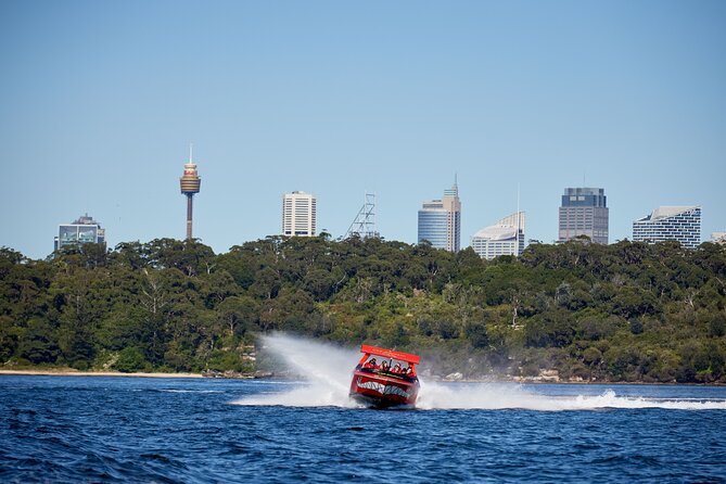 30-Minute Sydney Harbour Jet Boat Thrill Ride - The Wet Factor: Ponchos Help, But Dry Is Not the Goal