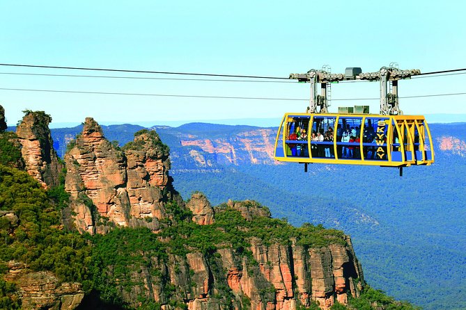 All Inclusive Blue Mountain,Scenic World,Lunch,Koalas,ferry - 6 Key Things You’ll Notice Right Away