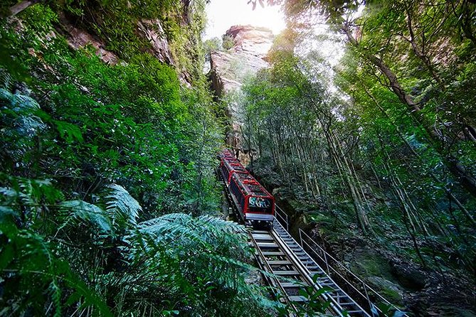 All Inclusive Blue Mountain,Scenic World,Lunch,Koalas,ferry - Scenic World Blue Mountains: The Rides You Actually Came For