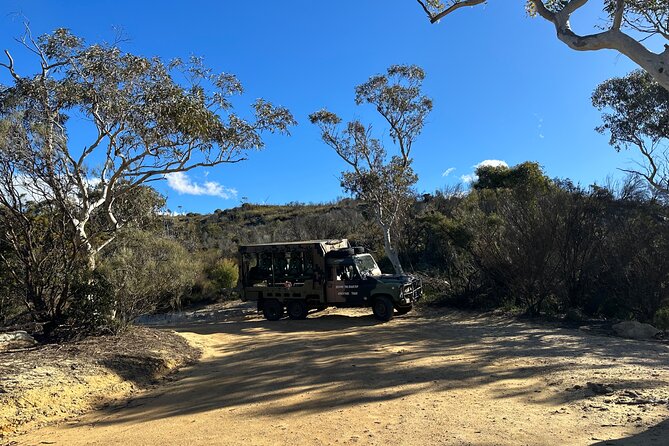 Army Truck Adventures - 3 Hour Guided Tour - Guides in the driver’s seat: how the human touch changes the ride