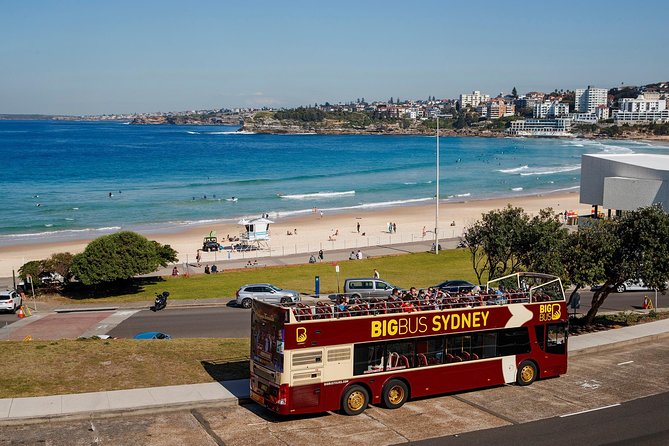 Big Bus Sydney and Bondi Hop-on Hop-off Tour - Your Best Plan: Red City Orientation + Blue Bondi Day