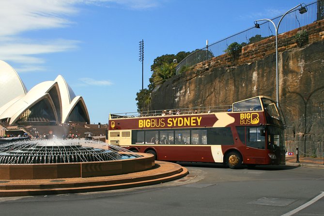 Big Bus Sydney and Bondi Hop-on Hop-off Tour - The Bondi Loop: From Centennial Park to Campbell Parade