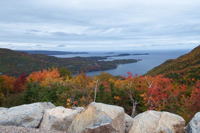 Blackwood Tours: 6 Hour Cabot Trail Tour in Cape Breton, NS - Why the guide style matters more than you think