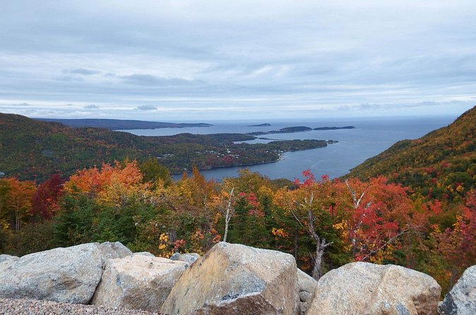 Blackwood Tours: 6 Hour Cabot Trail Tour in Cape Breton, NS - Food, drinks, and the reality of road time