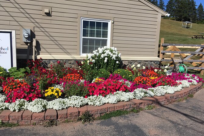 Blackwood Tours: Highland Village, Baddeck, Bell Museum Tour - Baddeck: a one-hour town break for shops and seafood lunch on your own