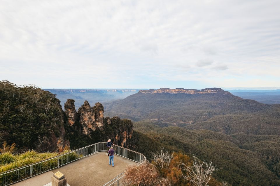 Blue Mountain Small Group Scenic World, Wildlife, Waterfall - Who This Tour Suits Best (and Who Might Prefer Something Else)