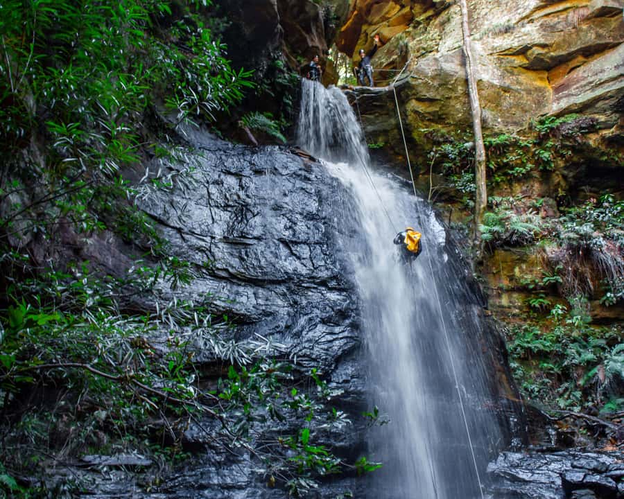 Blue Mountains: Abseiling and Canyoning Experience - Price and value: why $244 feels fair for what’s included