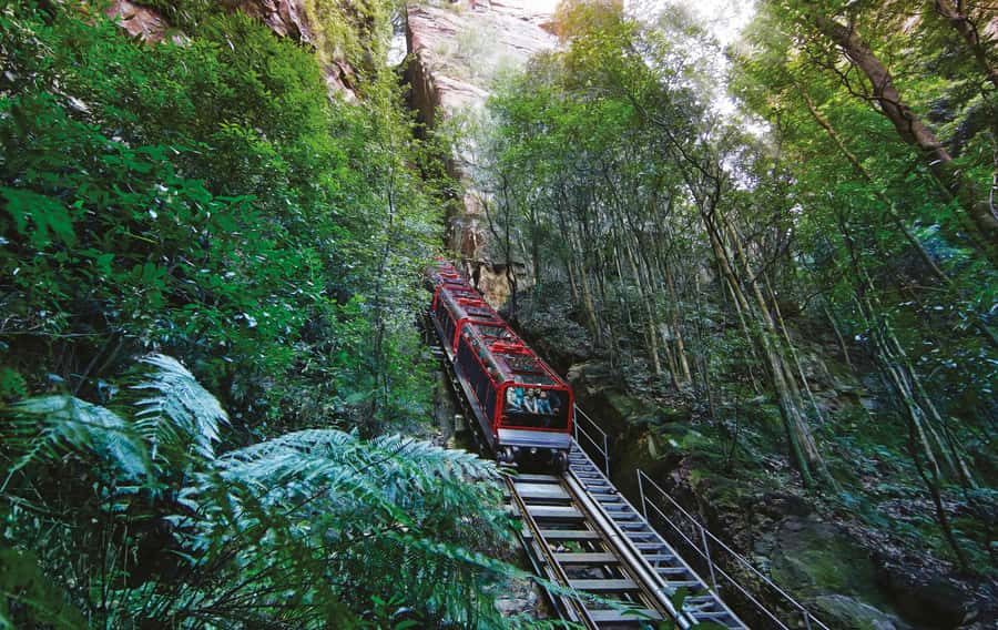 Blue Mountains Adventure: Scenic World, Zoo & Koala Photo - Key points before you go