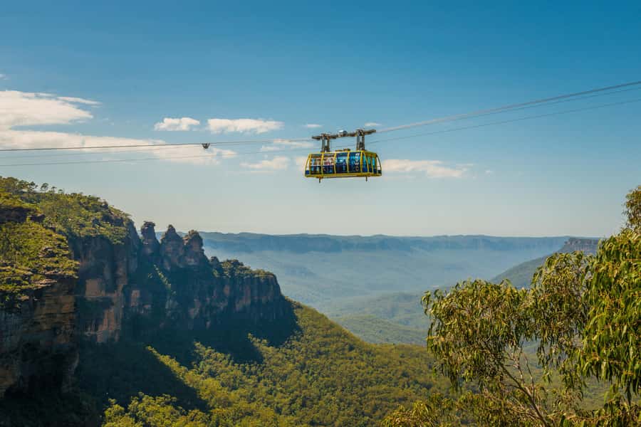 Blue Mountains Adventure: Scenic World, Zoo & Koala Photo - Why this Blue Mountains and Zoo mix makes sense