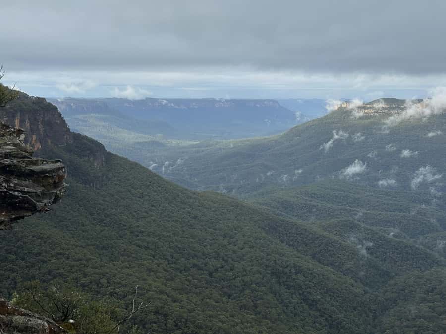 Blue Mountains Adventure: Scenic World, Zoo & Koala Photo - Harbour ferry back to Circular Quay: the scenic exit