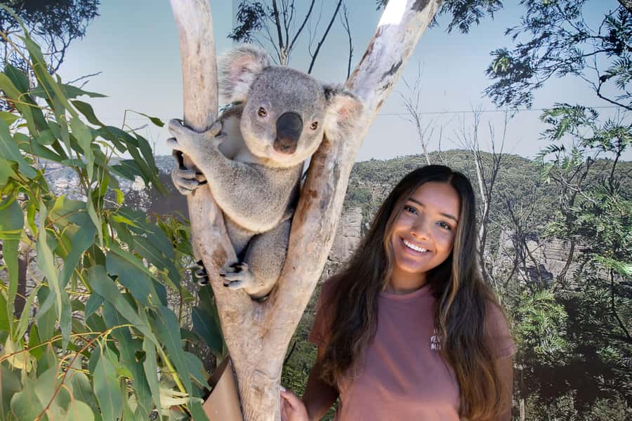 Blue Mountains Adventure: Scenic World, Zoo & Koala Photo - What to watch out for: weather, timing, and comfort