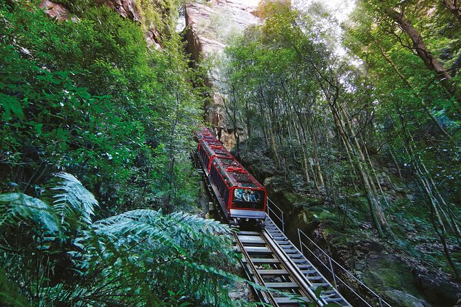 Blue Mountains Adventure w Scenic World, Zoo, Koala Photo & Ferry - Quick hits before you go