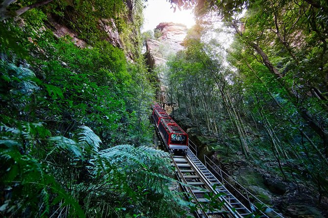 Blue Mountains Day Tour Including Parramatta River Cruise - Key points to know before you go