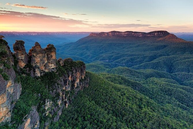 Blue Mountains Day Tour -Scenic World, Koalas & Roos (15 ppl LUX) - Getting There in Comfort: The Sprinter Van, Wi‑Fi, and Real-Time Flow