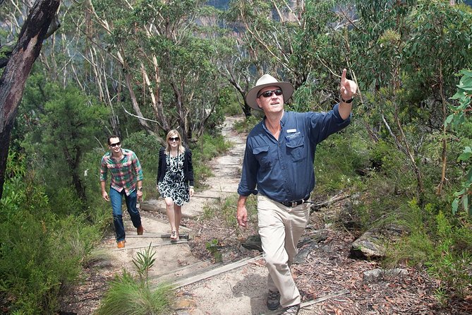 Blue Mountains Day Tour With Bushwalks, Waterfalls & Featherdale - Hotel pickup to Blue Mountains: why this day tour feels low-stress