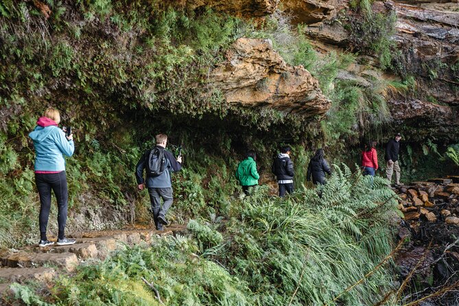 Blue Mountains Day Tour With Bushwalks, Waterfalls & Featherdale - Katoomba and Leura lunch time: small-town breaks without the chaos