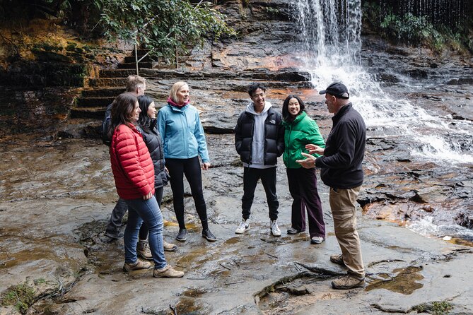 Blue Mountains Day Tour With Bushwalks, Waterfalls & Featherdale - Who this Blue Mountains day trip is best for