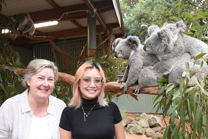 Blue Mountains Day Tour with Wildlife and Scenic World Entry - Parramatta Wharf return: bus/coach or an optional scenic cruise