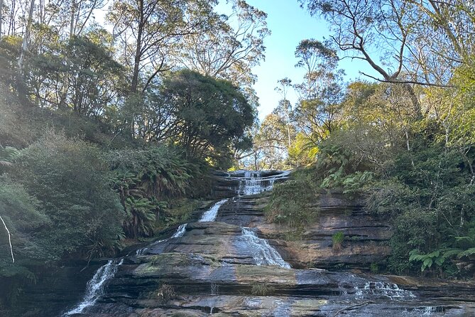 Blue Mountains Full Day Guided Tour - Pacing, Walking, and Who This Fits Best