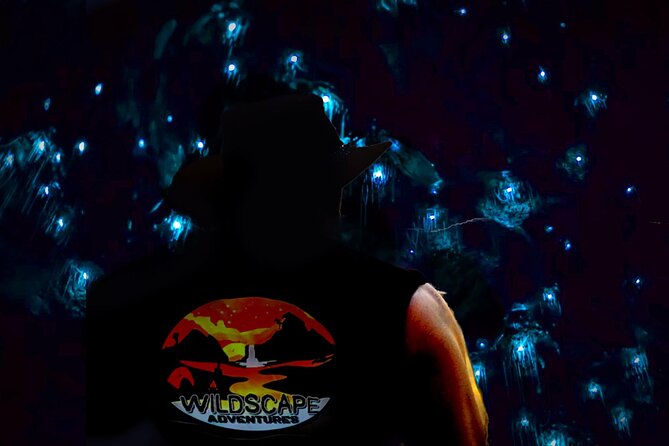 Blue Mountains Hiking Glow worms Cave Wildlife Spotlighting Night Adventure - Pickup, timing, and the small-group vibe