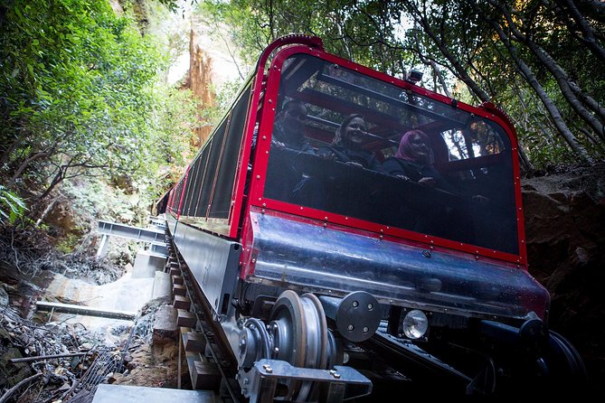 Blue Mountains Hop On Hop Off Tour - Hiking Support: Using the Guidebook Like a Field Companion