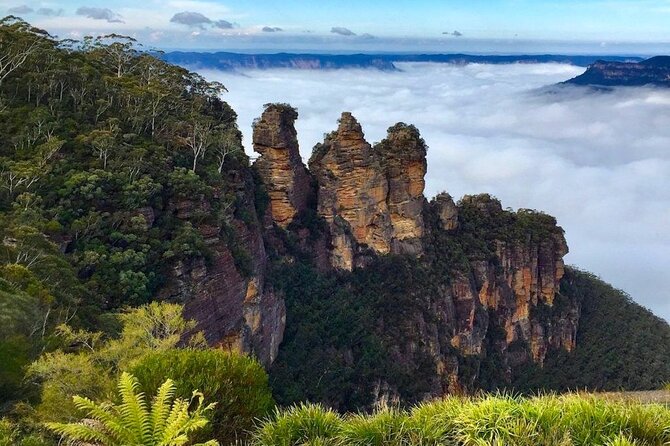 Blue Mountains Private Tour from Sydney - Why This Private Blue Mountains Tour Works So Well From Sydney