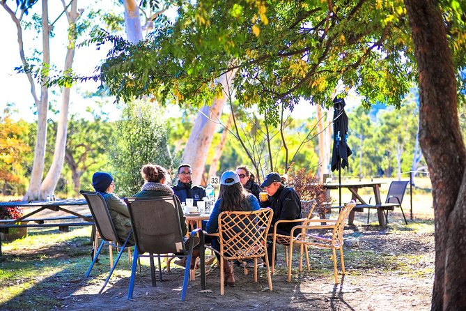 Blue Mountains Private Tour from Sydney - Stop 1: Featherdale Sydney Wildlife Park (Optional, at Your Expense)