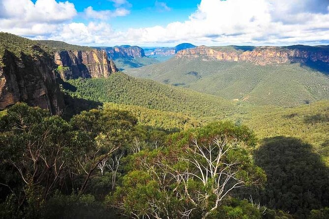 Blue Mountains Private Tour from Sydney - Stop 2: Wentworth Falls Lookout (Quick, Scenic, Free)