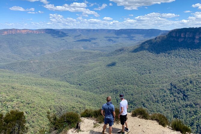 Blue Mountains Private Tour From Sydney, & Featherdale Aussie Animal Park Option - Key Takeaways Before You Go