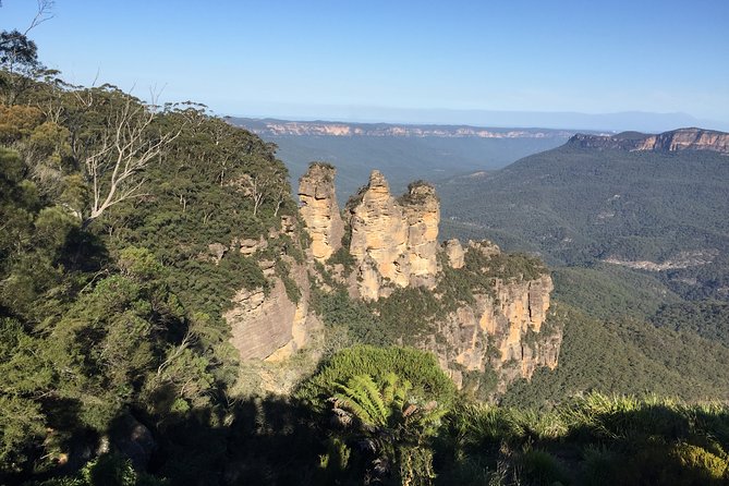 Blue Mountains Private Tour From Sydney, & Featherdale Aussie Animal Park Option - Harbour Bridge to North Side: A Fast City Contrast