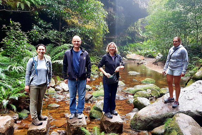 Blue Mountains Private Tour including Wildlife Park - Blue Mountains National Park: Jamison Valley and sandstone drama