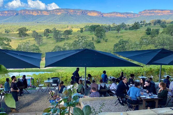 Blue Mountains Private Tour with Kangaroo and Koala Experience - Scenic World and the Parramatta River cruise: decide if you want the paid extras