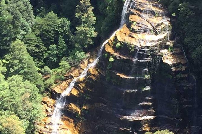 Blue Mountains Private Tour with Kangaroo and Koala Experience - Who this private Blue Mountains tour suits best