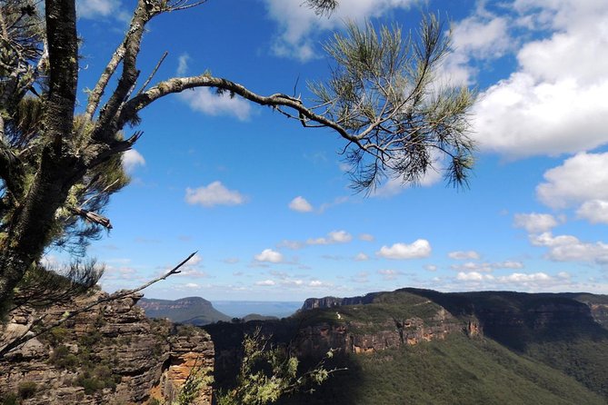 Blue Mountains Small-Group Insider Tour from Sydney - Why this Blue Mountains tour beats self-driving