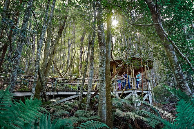 Blue Mountains Small-Group Tour from Sydney with Scenic World,Sydney Zoo & Ferry - Jamison and Megalong Valley viewpoints plus lunch freedom