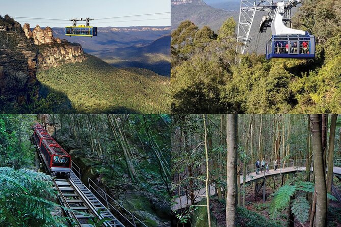 Blue Mountains Small-Group Tour from Sydney with Scenic World,Sydney Zoo & Ferry - Sydney Zoo: your included animal hour (koalas and more)