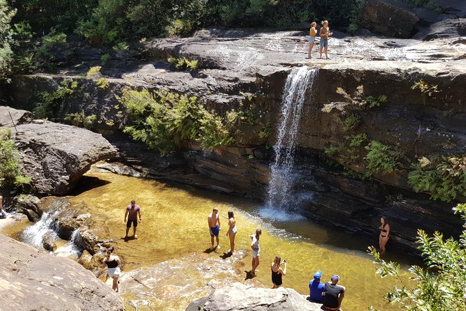 Blue Mountains Small Group Tour with Waterfall Walk & Fresh Lunch - Nature you can actually see: birds, walking, and weather shifts