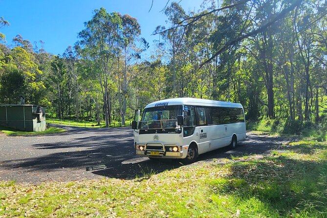 Blue Mountains Small Group Tour with Waterfall Walk & Fresh Lunch - Group size, guides, and why the pace works