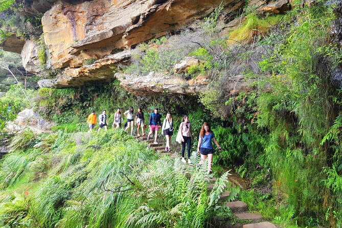 Blue Mountains Small Group Tour with Waterfall Walk & Fresh Lunch - Getting to the start at 812 George St, Haymarket without stress