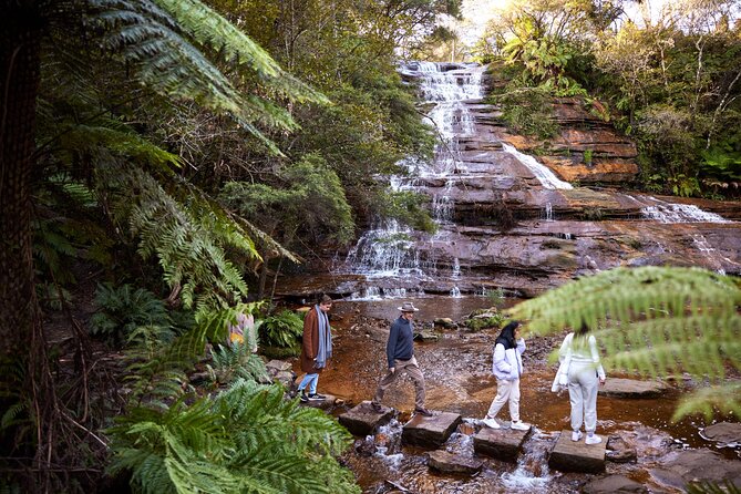 Blue Mountains Sunset Tour with Kangaroo Sightings from Sydney - Late start from Sydney: why this timing feels smarter