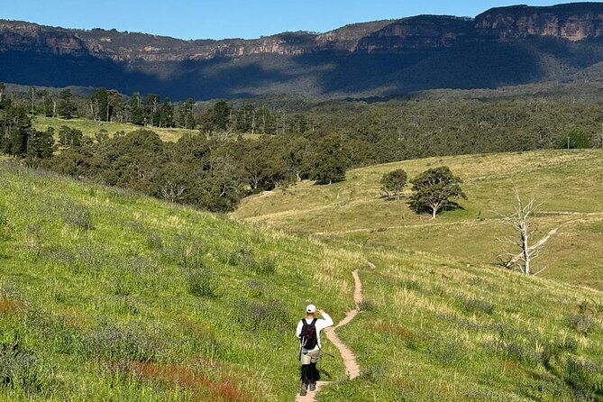 Blue Mountains Sunset Tour with Kangaroo Sightings from Sydney - Echo Point Lookout and the Jamison Valley: classic Three Sisters views