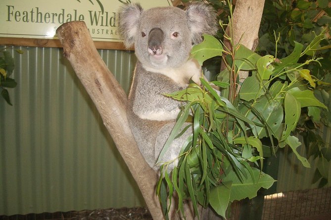 Blue Mountains Tour PRIVATE with Wildlife Park and River Cruise - A full day: Blue Mountains, wildlife, and Sydney by water