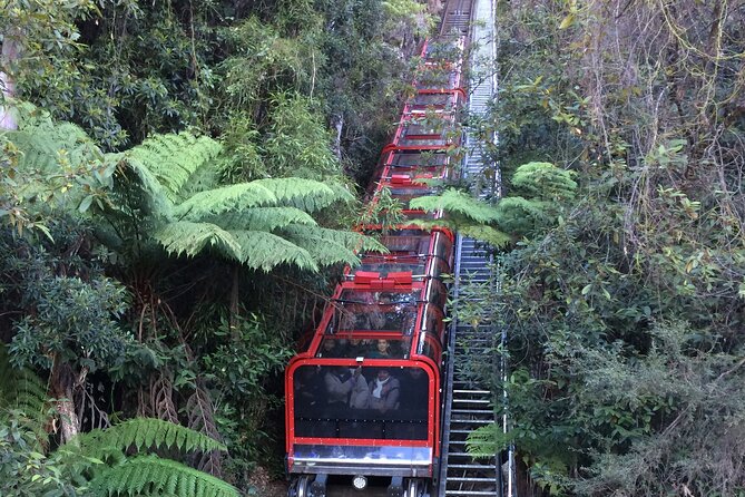 Blue Mountains Tour PRIVATE with Wildlife Park and River Cruise - Wildlife park stop: koalas, kangaroos, and the close-up factor