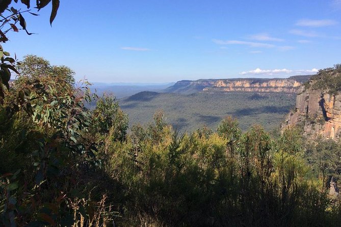 Blue Mountains Tour PRIVATE with Wildlife Park and River Cruise - Timing, comfort, and what to pack for weather